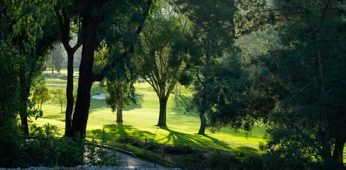 Grass of a golf course with the tree lined cart path 