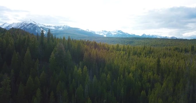 Idaho Rocky Mountain Lake Pine Forest Aerial 