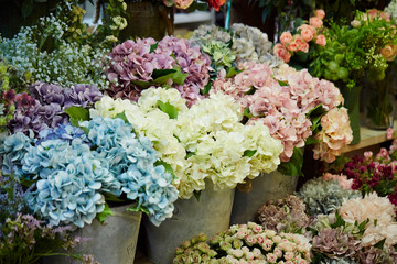 Various flowers at flower shop 