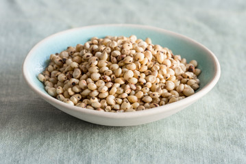 Sorghum Seeds in a Bowl