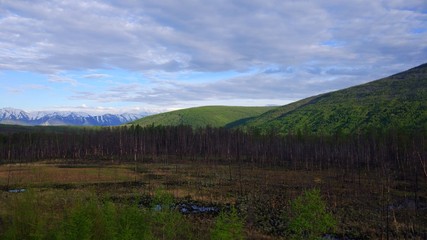 БАМ - Горы, Лес, Небо