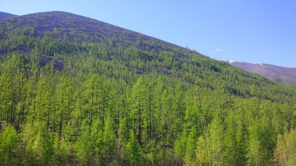 БАМ - Горы, Лес, Небо