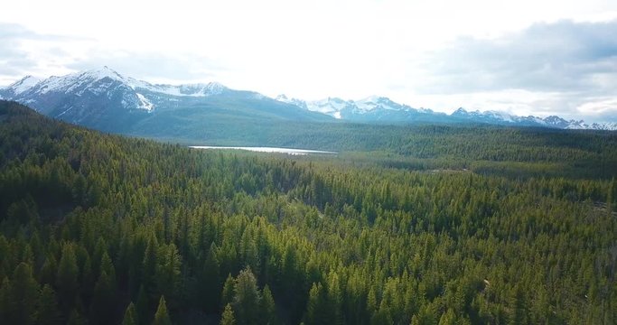 Idaho Rockies Alpine Lake Pine Forest Aerial