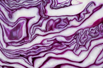 Obraz premium Close up cabbage purple - Shredded red cabbage slice texture background