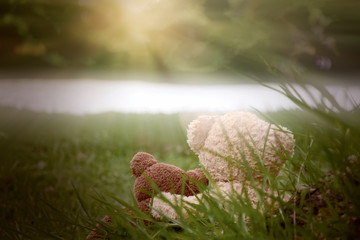 Two teddy bear sitting on green grass with natural