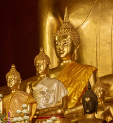 Golden Buddha Statues in Various Poses.