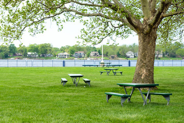 Wooden picnic table under a tree in green scenic park