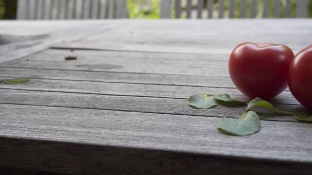 Red fresh organic tomato, 4K 2160p 25fps UHD video - Slowly panning on a wet tomato vegetable food background 4K 3840X2160 UltraHD footage