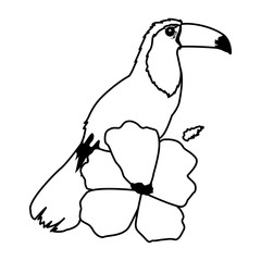 beautiful wild birds with exotic flower in black and white