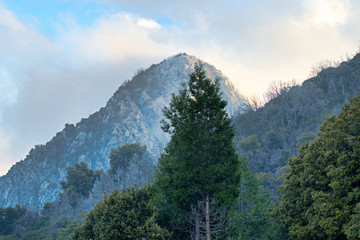 Landscapes off the Angeles crest highway a few miles from los angeless