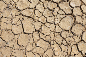 Brown dry soil or cracked ground texture background.
