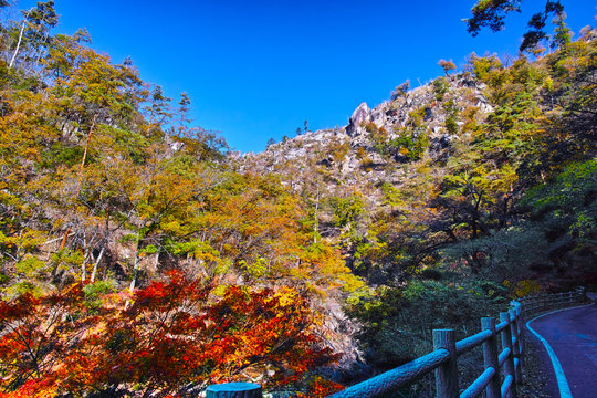 甲府市images Browse 10 916 Stock Photos Vectors And Video Adobe Stock
