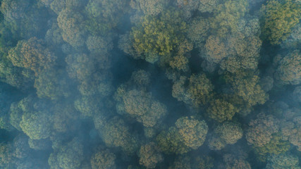 Fototapeta na wymiar Aerial View of Clouds and Mist Over Forest and Hills