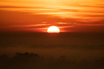 Obraz premium Sunrise in fog