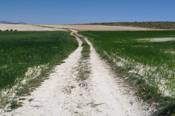 Chemin de terre à travers champs.