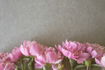 Fototapeta premium Pink peonies