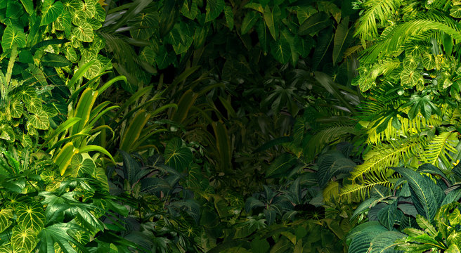 Featured image of post Jungle Bakground - Pngtree offers hd jungle background images for free download.