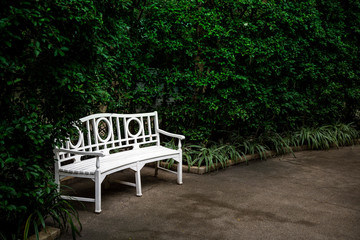 White bench with bush
