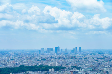 Fototapeta premium 日本・川崎・武蔵小杉の風景