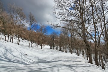 Dramatic Sky On Winter Landscape