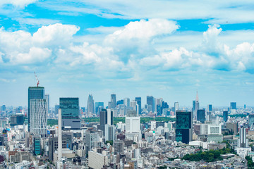 Fototapeta premium 東京・新宿・渋谷・都市風景