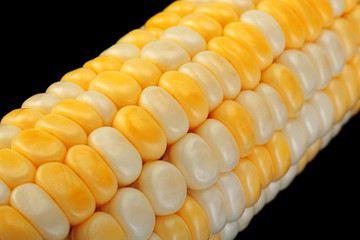 Corn vegatable closeup background