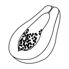 exotic tropical fruit icon cartoon in black and white