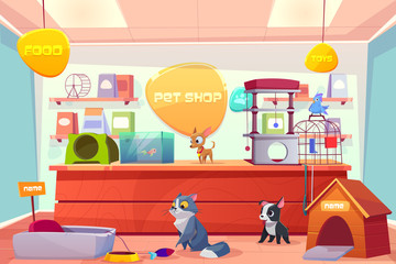 Plakat Pet shop with home animals, store interior with cat, dog, puppy, bird, fish in aquarium. Counter desk, accessories, food, toys, medicine on shelves. Petshop supermarket. Cartoon vector illustration