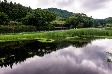 Fototapeta premium 神楽女湖