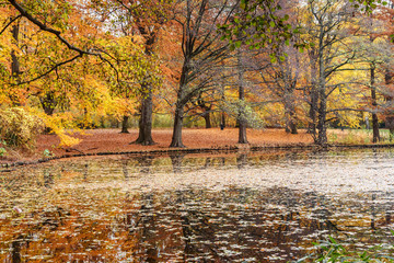 Autumn Tiergarten Park in Berlin. Germany