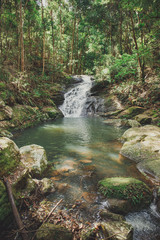 Naklejka premium Golden Waterfall