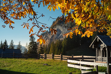 Hütteneckalm im Salzkammergut