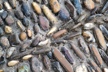 Patterned pavement in the park. Traditional pebble mosaic sidewalk. Selective focus