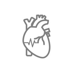 heart, human, vector, medical,pulse, beat, wave, heartbeat grey  icon