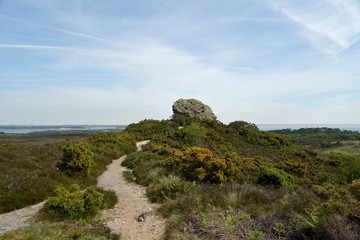 Fototapeta na wymiar Agglestone Rock, erratic boulder on Godlingston Heath near Swanage on Dorset coast