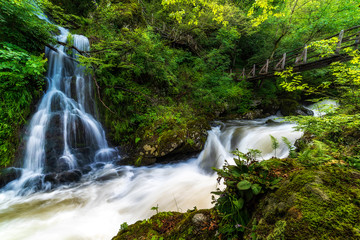 Beautiful wooden hand-made bridge in the Ecopath White River, near Kalofer, Bulgaria.