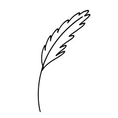 vector hand drawn illustration of an old fashioned writing pen, i.e. feather
