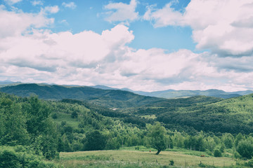 Green grass, mountains peaks covered with forest and cloudy blue sky. Summer mountain landscape.