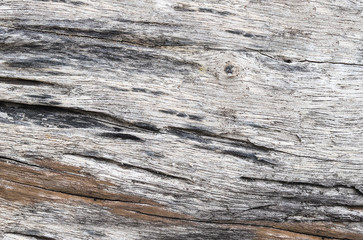 Fototapeta premium Grunge cracked wood by close up texture background horizontal. Can be used as background for graphic design