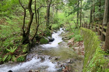 Obraz premium 屋敷の滝