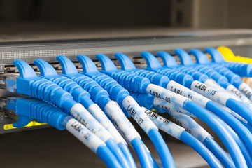 network cables connected to router ports