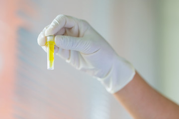 Obraz premium Scientist looking at plants in test tube in laboratory