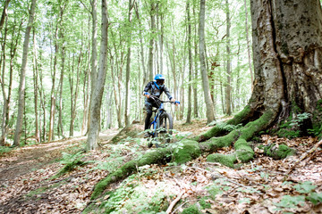 Naklejka premium Professional well equipped cyclist riding downhill on the off road in the forest. Concept of an extreme sport and enduro cycling