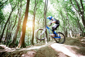 Professional well equipped cyclist riding on the forest track with slides for jumping. Concept of...