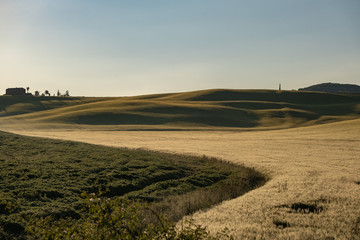 Fototapeta premium Tuscany landscape at sunrise. Typical for the region tuscan farm