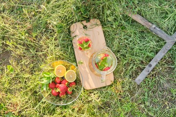 Summer refreshing natural homemade drinks, jug and glass of herbal tea with strawberries mint lemon on the grass