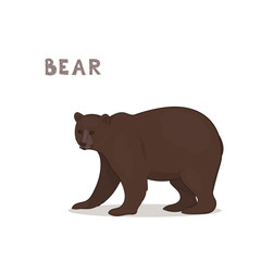 A cartoon bear, isolated on a white background. Animal alphabet.