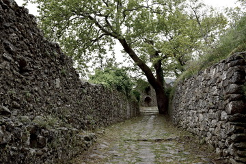 Fototapeta premium a Medieval church in the Greek Mediaval town of Mistras