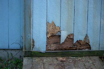 siding with cracks and bug damage on side of home