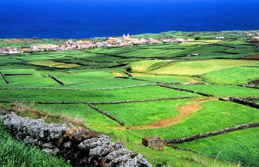 Landschaft auf den immergrünen Azoren mit kleinteiligen Feldern, Steinmauern, einem Dorf und dem Meer